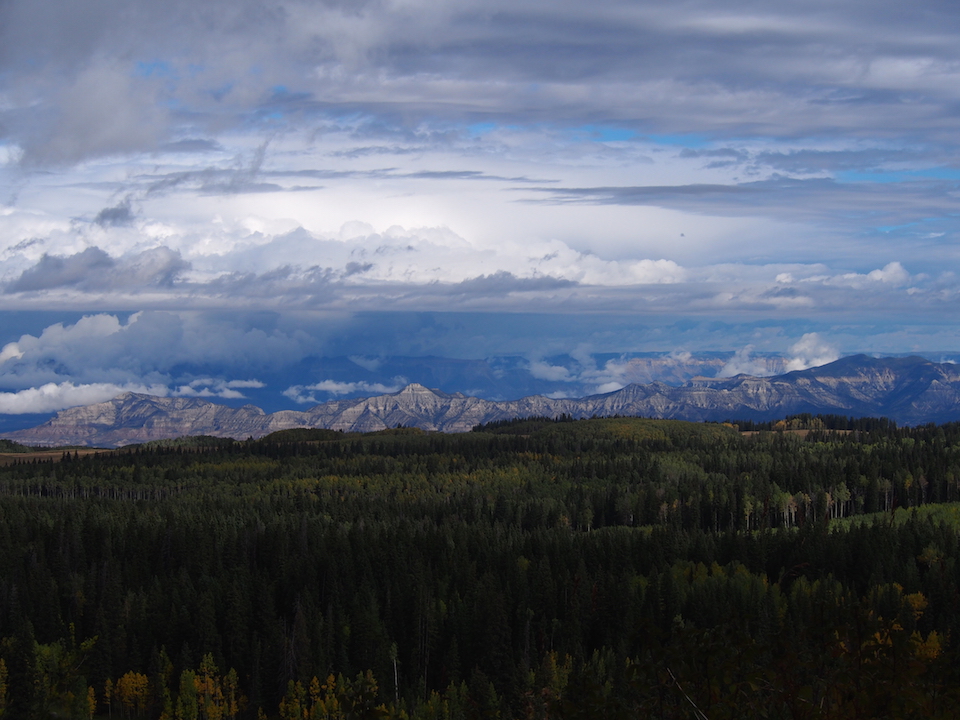 White Mountains in the Distance